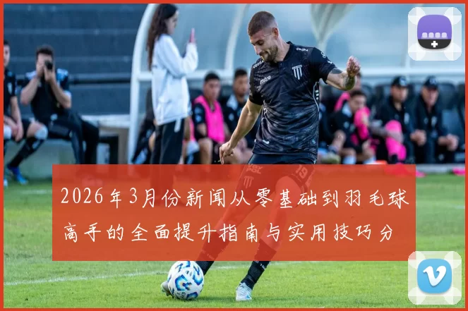 2026年3月份新闻从零基础到羽毛球高手的全面提升指南与实用技巧分享