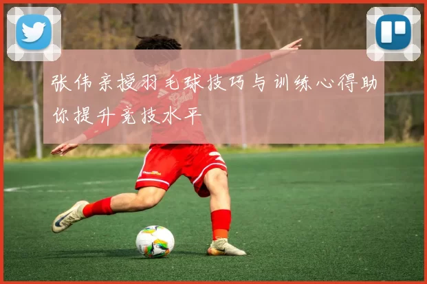 张伟亲授羽毛球技巧与训练心得助你提升竞技水平